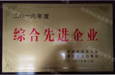 综合先进企业